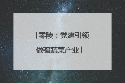 零陵：党建引领 做强蔬菜产业