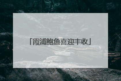 霞浦鲍鱼喜迎丰收