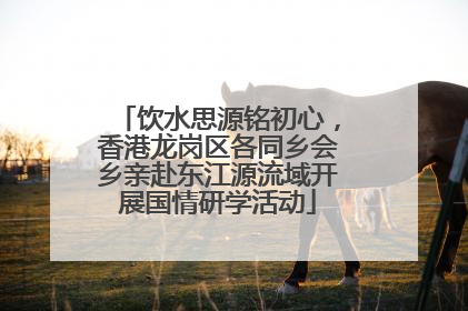 饮水思源铭初心，香港龙岗区各同乡会乡亲赴东江源流域开展国情研学活动