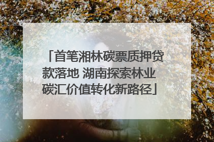 首笔湘林碳票质押贷款落地 湖南探索林业碳汇价值转化新路径