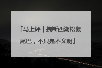 马上评｜拽断西湖松鼠尾巴，不只是不文明