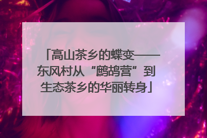 高山茶乡的蝶变——东风村从“鹧鸪营”到生态茶乡的华丽转身