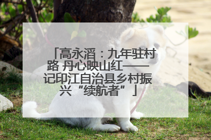高永滔：九年驻村路 丹心映山红——记印江自治县乡村振兴“续航者”