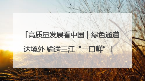 高质量发展看中国｜绿色通道达境外 输送三江“一口鲜”
