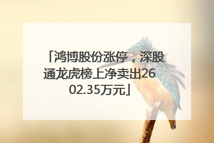 鸿博股份涨停，深股通龙虎榜上净卖出2602.35万元