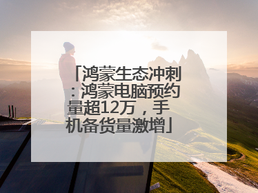 鸿蒙生态冲刺：鸿蒙电脑预约量超12万，手机备货量激增