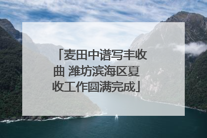 麦田中谱写丰收曲 潍坊滨海区夏收工作圆满完成