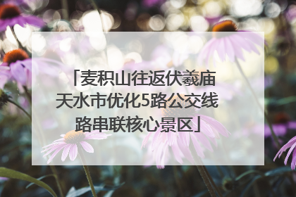 麦积山往返伏羲庙 天水市优化5路公交线路串联核心景区