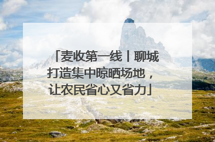 麦收第一线丨聊城打造集中晾晒场地，让农民省心又省力