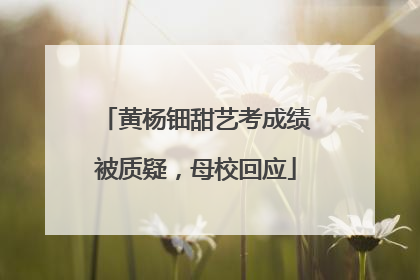 黄杨钿甜艺考成绩被质疑，母校回应