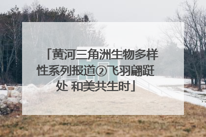黄河三角洲生物多样性系列报道②飞羽翩跹处 和美共生时
