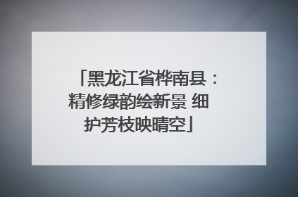 黑龙江省桦南县：精修绿韵绘新景 细护芳枝映晴空