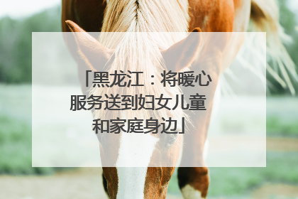 黑龙江：将暖心服务送到妇女儿童和家庭身边