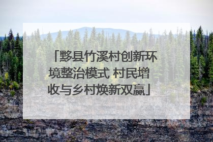 黟县竹溪村创新环境整治模式 村民增收与乡村焕新双赢