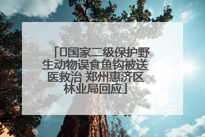 ﻿国家二级保护野生动物误食鱼钩被送医救治 郑州惠济区林业局回应