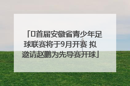 ﻿首届安徽省青少年足球联赛将于9月开赛 拟邀请赵鹏为先导赛开球