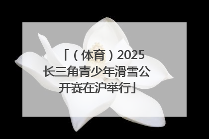 （体育）2025长三角青少年滑雪公开赛在沪举行