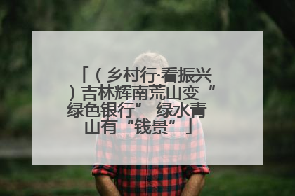 （乡村行·看振兴）吉林辉南荒山变“绿色银行” 绿水青山有“钱景”