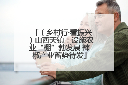 （乡村行·看振兴）山西天镇：设施农业“棚”勃发展 辣椒产业蓄势待发