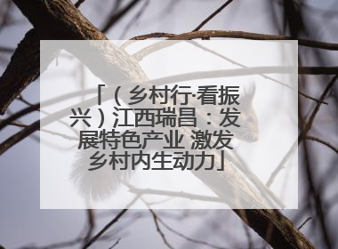 （乡村行·看振兴）江西瑞昌：发展特色产业 激发乡村内生动力