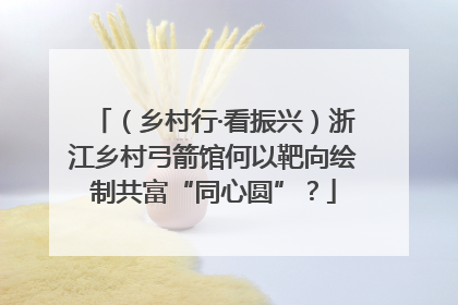 （乡村行·看振兴）浙江乡村弓箭馆何以靶向绘制共富“同心圆”？