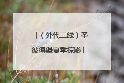 （外代二线）圣彼得堡夏季掠影