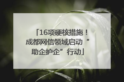 16项硬核措施！成都网信领域启动“助企护企”行动