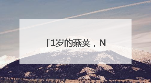 1岁的燕荚，N 倍的宠爱！燕荚周年“荚”年华狂欢攻略大公开