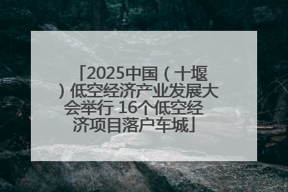 2025中国（十堰）低空经济产业发展大会举行 16个低空经济项目落户车城