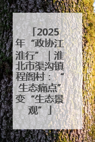 2025年“政协江淮行”｜淮北市渠沟镇程阁村：“生态痛点”变“生态景观”