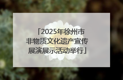 2025年徐州市非物质文化遗产宣传展演展示活动举行
