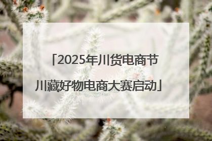 2025年川货电商节川藏好物电商大赛启动