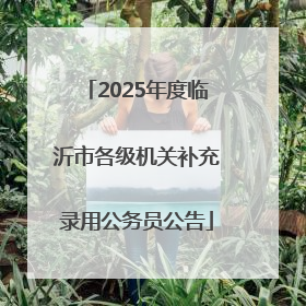 2025年度临沂市各级机关补充录用公务员公告