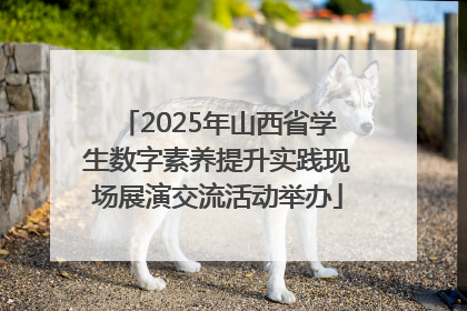 2025年山西省学生数字素养提升实践现场展演交流活动举办