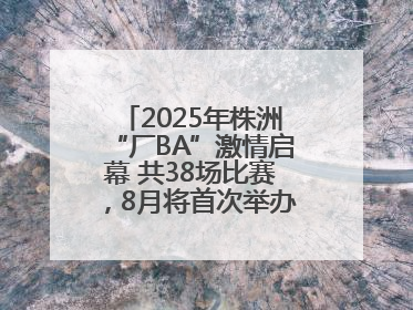 2025年株洲“厂BA”激情启幕 共38场比赛，8月将首次举办全国邀请赛