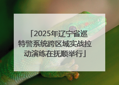 2025年辽宁省巡特警系统跨区域实战拉动演练在抚顺举行