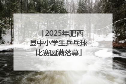 2025年肥西县中小学生乒乓球比赛圆满落幕