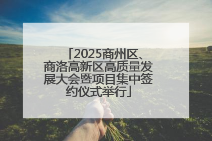 2025商州区、商洛高新区高质量发展大会暨项目集中签约仪式举行