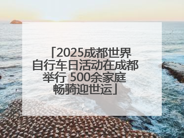 2025成都世界自行车日活动在成都举行 500余家庭畅骑迎世运