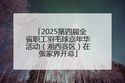 2025第四届全省职工羽毛球嘉年华活动（湘西赛区）在张家界开幕