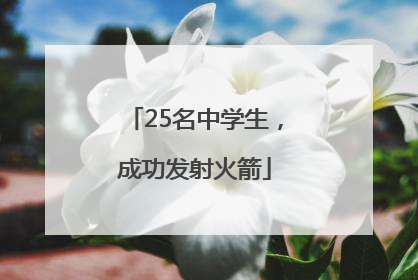 25名中学生，成功发射火箭