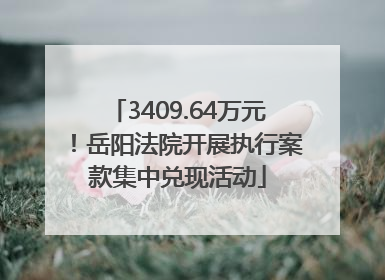 3409.64万元！岳阳法院开展执行案款集中兑现活动