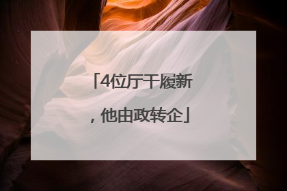 4位厅干履新，他由政转企