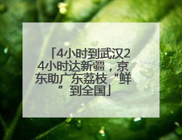 4小时到武汉24小时达新疆，京东助广东荔枝“鲜”到全国