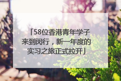 58位香港青年学子来到闵行，新一年度的实习之旅正式拉开