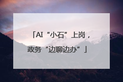 AI“小石”上岗，政务“边聊边办”