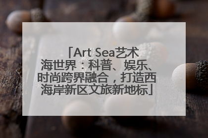 Art Sea艺术海世界：科普、娱乐、时尚跨界融合，打造西海岸新区文旅新地标