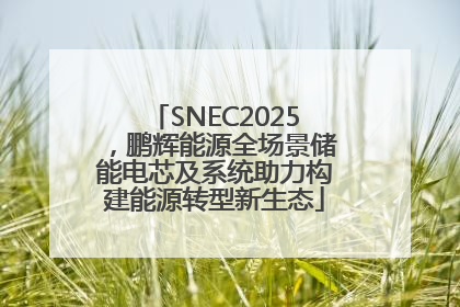 SNEC2025，鹏辉能源全场景储能电芯及系统助力构建能源转型新生态